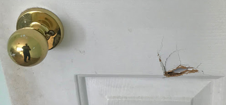interior door hole repair El Granada